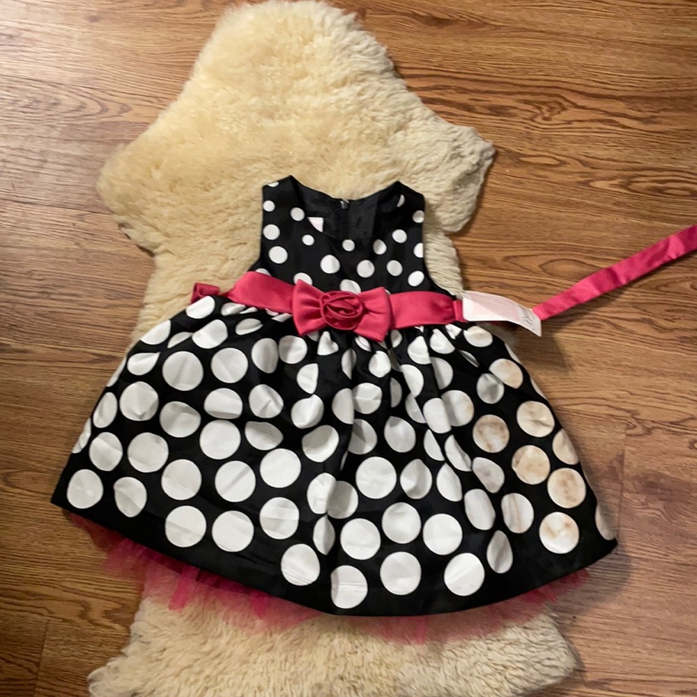 18M Emily Rose dress